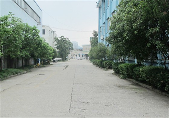 立新公司風(fēng)采