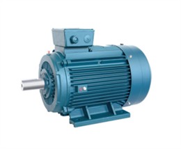 YE3系列三相異步電動(dòng)機(jī)